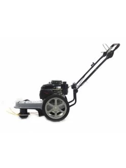 Ama DC565 - Decespugliatore A Ruote A Benzina 4 Tempi A Spinta -Cura Del Giardino ama dc565 decespugliatore a ruote a benzina 4 tempi a spinta decespugliatore a ruote a benzina ama dc565 11717 0 1510918966 IMG 2064