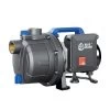 Annovi & Reverberi ARGP 600P - Pompa Autoadescante Da Giardino - A Basso Consumo Energetico -Cura Del Giardino annovi reverberi argp 600p pompa autoadescante da giardino a basso consumo energetico agrieuro 21875 1