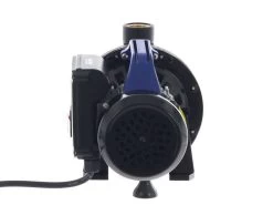 Annovi & Reverberi ARGP 600P - Pompa Autoadescante Da Giardino - A Basso Consumo Energetico -Cura Del Giardino annovi reverberi argp 600p pompa autoadescante da giardino a basso consumo energetico elettropompa da giardino annovi reverberi argp series 600p 21875 3 1578915788 2