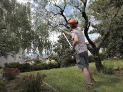 Archman Helium MT.2 - Forbicione Telescopico Professionale - Asta 170/270 Cm - Ø 35 Mm -Cura Del Giardino archman helium mt 2 forbicione telescopico professionale asta 170 270 cm o 35 mm forbicione su asta di prolunga archman 10126 0 1487754518 Helium 04