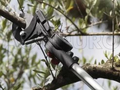 Archman Helium MT.2 - Forbicione Telescopico Professionale - Asta 170/270 Cm - Ø 35 Mm -Cura Del Giardino archman helium mt 2 forbicione telescopico professionale asta 170 270 cm o 35 mm forbicione su asta di prolunga archman 10126 0 1487754519 Helium 506