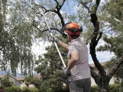 Archman Helium MT.2 - Forbicione Telescopico Professionale - Asta 170/270 Cm - Ø 35 Mm -Cura Del Giardino archman helium mt 2 forbicione telescopico professionale asta 170 270 cm o 35 mm forbicione su asta di prolunga archman 10126 0 1487755711 Helium 045