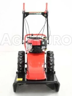 Blue Bird Domino - Trinciaerba A Scoppio - Lama E Filo - B&S 850E -Cura Del Giardino blue bird domino trinciaerba a scoppio lama e filo b s 850e presentazione blue bird domino 850 5326 0 1393257982 IMG 9945