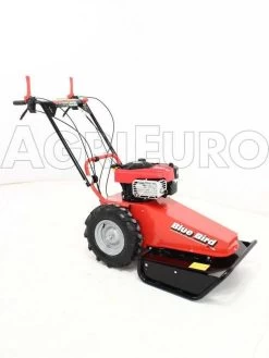 Blue Bird Domino - Trinciaerba A Scoppio - Lama E Filo - B&S 850E -Cura Del Giardino blue bird domino trinciaerba a scoppio lama e filo b s 850e presentazione blue bird domino 850 5326 0 1393257984 IMG 9952