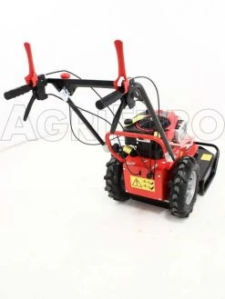 Blue Bird Domino - Trinciaerba A Scoppio - Lama E Filo - B&S 850E -Cura Del Giardino blue bird domino trinciaerba a scoppio lama e filo b s 850e presentazione blue bird domino 850 5326 0 1393257984 IMG 9955