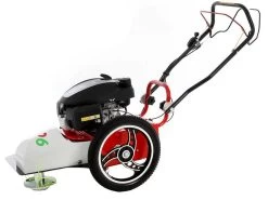 Blue Bird FLO Pro Speed 6HO - Trinciaerba A Scoppio - Lama E Filo - Honda GCV200 -Cura Del Giardino blue bird flo pro speed 6ho trinciaerba a scoppio lama e filo honda gcv200 trinciaerba flo pro speed 6ho honda gcv 200 22785 0 1585755507 IMG 5e84b5739eaaa
