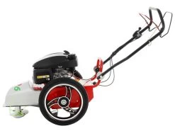 Blue Bird FLO Pro Speed 6HO - Trinciaerba A Scoppio - Lama E Filo - Honda GCV200 -Cura Del Giardino blue bird flo pro speed 6ho trinciaerba a scoppio lama e filo honda gcv200 trinciaerba flo pro speed 6ho honda gcv 200 22785 0 1585755507 IMG 5e84b573a1f01