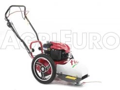 Blue Bird FLO Speed 6BS - Decespugliatore A Ruote A Benzina 4 Tempi Semovente - B&S 675 EX -Cura Del Giardino blue bird flo speed 6bs decespugliatore a ruote a benzina 4 tempi semovente b s 675 ex decespugliatore a ruote bluebird flo speed 6bs b s 675 10804 0 1498641587 IMG 9637