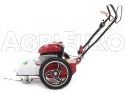 Blue Bird FLO Speed 6BS - Decespugliatore A Ruote A Benzina 4 Tempi Semovente - B&S 675 EX -Cura Del Giardino blue bird flo speed 6bs decespugliatore a ruote a benzina 4 tempi semovente b s 675 ex decespugliatore a ruote bluebird flo speed 6bs b s 675 10804 0 1498641592 IMG 9639