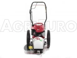 Blue Bird FLO Speed 6BS - Decespugliatore A Ruote A Benzina 4 Tempi Semovente - B&S 675 EX -Cura Del Giardino blue bird flo speed 6bs decespugliatore a ruote a benzina 4 tempi semovente b s 675 ex decespugliatore a ruote bluebird flo speed 6bs b s 675 10804 0 1498641594 IMG 9632