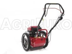 Blue Bird FLO Speed 6BS - Decespugliatore A Ruote A Benzina 4 Tempi Semovente - B&S 675 EX -Cura Del Giardino blue bird flo speed 6bs decespugliatore a ruote a benzina 4 tempi semovente b s 675 ex decespugliatore a ruote bluebird flo speed 6bs b s 675 10804 0 1498641598 IMG 9641