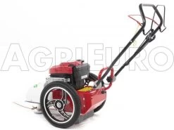 Blue Bird FLO Speed 6BS - Trinciaerba A Scoppio - Lama E Filo - B&S 675EX 19 Blue Bird FLO Speed 6BS - Trinciaerba A Scoppio - Lama E Filo - B&S 675EX -Cura Del Giardino blue bird flo speed 6bs trinciaerba a scoppio lama e filo b s 675ex trinciaerba flo speed 6bs b s 675ex 10804 0 1498641589 IMG 9638