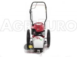 Blue Bird FLO Speed 6BS - Trinciaerba A Scoppio - Lama E Filo - B&S 675EX 22 Blue Bird FLO Speed 6BS - Trinciaerba A Scoppio - Lama E Filo - B&S 675EX -Cura Del Giardino blue bird flo speed 6bs trinciaerba a scoppio lama e filo b s 675ex trinciaerba flo speed 6bs b s 675ex 10804 0 1498641594 IMG 9632