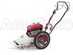 Blue Bird FLO Speed 6BS - Trinciaerba A Scoppio - Lama E Filo - B&S 675EX 27 Blue Bird FLO Speed 6BS - Trinciaerba A Scoppio - Lama E Filo - B&S 675EX -Cura Del Giardino blue bird flo speed 6bs trinciaerba a scoppio lama e filo b s 675ex trinciaerba flo speed 6bs b s 675ex 10804 0 1498641601 IMG 9640
