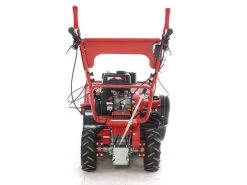 Blue Bird SG0812A - Trinciaerba Professionale A Martelli - Loncin LC175F-2 -Cura Del Giardino blue bird sg0812a trinciaerba professionale a martelli loncin lc175f 2 trinciaerba blue bird sg0812a 16650 1 1557993405 IMG 3545