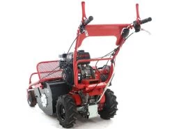 Blue Bird SG0812A - Trinciaerba Professionale A Martelli - Loncin LC175F-2 -Cura Del Giardino blue bird sg0812a trinciaerba professionale a martelli loncin lc175f 2 trinciaerba blue bird sg0812a 16650 1 1557993406 IMG 3477