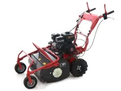 Blue Bird SG0812A - Trinciaerba Professionale A Martelli - Loncin LC175F-2 -Cura Del Giardino blue bird sg0812a trinciaerba professionale a martelli loncin lc175f 2 trinciaerba blue bird sg0812a 16650 1 1557993406 IMG 3500