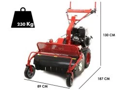 Blue Bird SG0813 - Trinciaerba Professionale A Martelli - Loncin G390F -Cura Del Giardino blue bird sg0813 trinciaerba professionale a martelli loncin g390f trinciaerba blue bird sg0813 25665 1 1603286385 IMG 5f903571a36ae