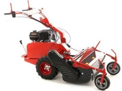 Blue Bird SG0813 - Trinciaerba Professionale A Martelli - Loncin G390F -Cura Del Giardino blue bird sg0813 trinciaerba professionale a martelli loncin g390f trinciaerba blue bird sg0813 25665 1 1603286385 IMG 5f903571b4a03