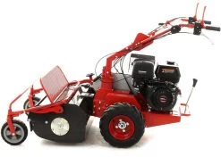 Blue Bird SG0813 - Trinciaerba Professionale A Martelli - Loncin G390F -Cura Del Giardino blue bird sg0813 trinciaerba professionale a martelli loncin g390f trinciaerba blue bird sg0813 25665 1 1603286385 IMG 5f903571cf5bd