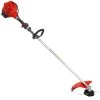 Efco DS 4000 S - Decespugliatore A Scoppio -Cura Del Giardino efco ds 4000 s decespugliatore a scoppio agrieuro 23606 3