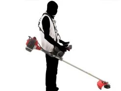 Efco Stark 3810 T - Decespugliatore A Scoppio 34 Efco Stark 3810 T - Decespugliatore A Scoppio -Cura Del Giardino efco stark 3810 t decespugliatore a scoppio decespugliatore efco stark 3810 t 23622 0 1590070581 IMG 5ec68d3537f52