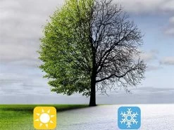 Einhell GE-US 18 Li - Spandiconcime A Batteria - SENZA BATTERIA E CARICABATTERIA -Cura Del Giardino einhell ge us 18 li spandiconcime a batteria senza batteria e caricabatteria la seminatrice e spargisale a batteria einhell ge us 18 li 29761 4 1623246791 IMG 60c0c7c783504