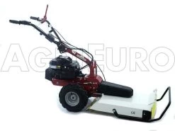 Eurosystems P55V - Trinciaerba A Scoppio - Lama - B&S 675iS -Cura Del Giardino eurosystems p55v trinciaerba a scoppio lama b s 675is trinciaerba falciatutto a scoppio semovente eurosystems p55 v 7541 0 1434365150 a9
