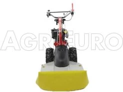 Eurosystems P70 EVO - Trinciaerba A Scoppio - Lama - B&S 850E I/C 15 Eurosystems P70 EVO - Trinciaerba A Scoppio - Lama - B&S 850E I/C -Cura Del Giardino eurosystems p70 evo trinciaerba a scoppio lama b s 850e i c trinciaerba a scoppio eurosystems b s p70 con piatto falciatutto 9045 0 1469177072 500318 P70 trinciaerba BeS 850 000sdf02