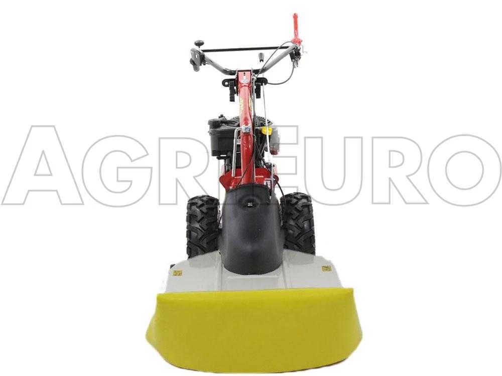 Eurosystems P70 EVO - Trinciaerba A Scoppio - Lama - B&S 850E I/C 5 Eurosystems P70 EVO - Trinciaerba A Scoppio - Lama - B&S 850E I/C - immagine 3