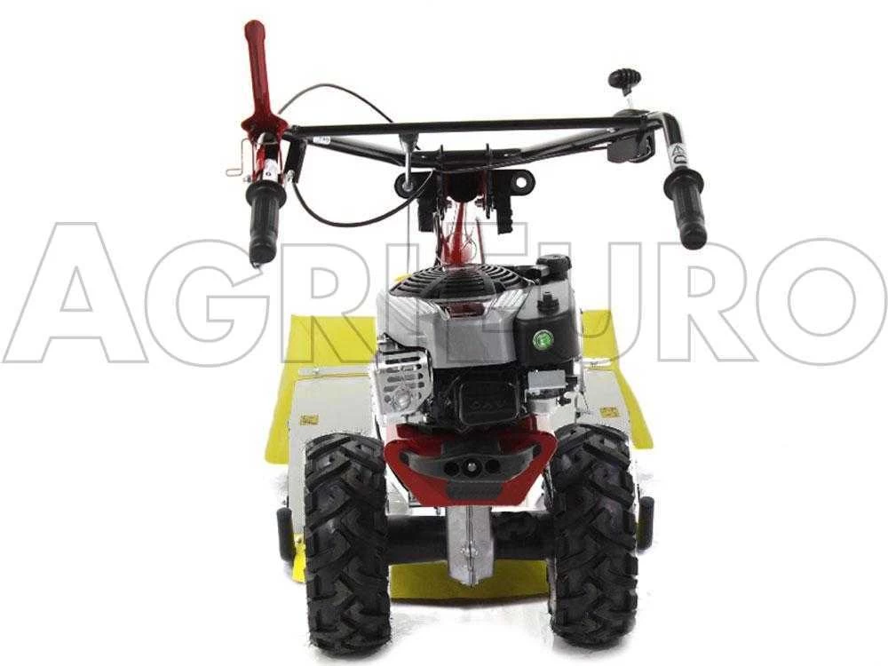 Eurosystems P70 EVO - Trinciaerba A Scoppio - Lama - B&S 850E I/C 10 Eurosystems P70 EVO - Trinciaerba A Scoppio - Lama - B&S 850E I/C - immagine 8