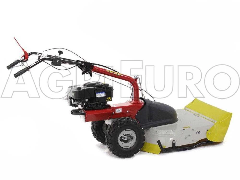 Eurosystems P70 EVO - Trinciaerba A Scoppio - Lama - B&S 850E I/C 7 Eurosystems P70 EVO - Trinciaerba A Scoppio - Lama - B&S 850E I/C - immagine 5