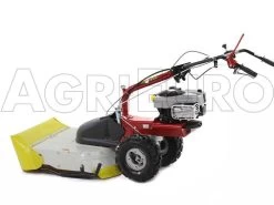 Eurosystems P70 EVO - Trinciaerba A Scoppio - Lama - B&S 850E I/C 18 Eurosystems P70 EVO - Trinciaerba A Scoppio - Lama - B&S 850E I/C -Cura Del Giardino eurosystems p70 evo trinciaerba a scoppio lama b s 850e i c trinciaerba a scoppio eurosystems b s p70 con piatto falciatutto 9045 0 1469177074 500318 P70 trinciaerba BeS 850 0000sd2