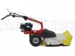 Eurosystems P70 EVO - Trinciaerba A Scoppio - Lama - B&S 850E I/C 23 Eurosystems P70 EVO - Trinciaerba A Scoppio - Lama - B&S 850E I/C -Cura Del Giardino eurosystems p70 evo trinciaerba a scoppio lama b s 850e i c trinciaerba a scoppio eurosystems b s p70 con piatto falciatutto 9045 0 1469177075 500318 P70 trinciaerba BeS 850 000j02
