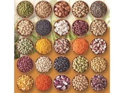 GeoTech PM 60 - Seminatrice Manuale A Spinta - Spandiconcime -Cura Del Giardino geotech pm 60 seminatrice manuale a spinta spandiconcime seminatrice spandiconcime manuale a spinta da orto geotech pm 60 12779 0 1523430628 foto semi