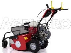 Ginko-MGM TT 680 - Trinciaerba Professionale A Martelli - Honda GX200 -Cura Del Giardino ginko mgm tt 680 trinciaerba professionale a martelli honda gx200 trinciaerba ginko mgm mod tt 680 10099 1 1487579988 IMG 5885