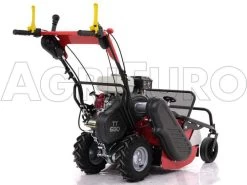 Ginko-MGM TT 680 - Trinciaerba Professionale A Martelli - Honda GX200 -Cura Del Giardino ginko mgm tt 680 trinciaerba professionale a martelli honda gx200 trinciaerba ginko mgm mod tt 680 10099 1 1487579991 IMG 5895