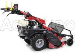 Ginko-MGM TT 786 - Trinciaerba Professionale A Martelli - Honda GX270 -Cura Del Giardino ginko mgm tt 786 trinciaerba professionale a martelli honda gx270 trinciaerba ginko mgm mod tt 786 10107 1 1487609066 IMG 6172