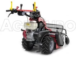 Ginko-MGM TT 786 - Trinciaerba Professionale A Martelli - Honda GX270 -Cura Del Giardino ginko mgm tt 786 trinciaerba professionale a martelli honda gx270 trinciaerba ginko mgm mod tt 786 10107 1 1487609068 IMG 6170