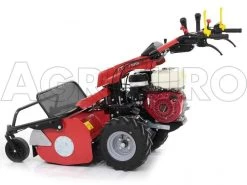 Ginko-MGM TT 786 - Trinciaerba Professionale A Martelli - Honda GX270 -Cura Del Giardino ginko mgm tt 786 trinciaerba professionale a martelli honda gx270 trinciaerba ginko mgm mod tt 786 10107 1 1487609071 IMG 6180