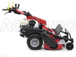 Ginko-MGM TT 786 - Trinciaerba Professionale A Martelli - Honda GX270 -Cura Del Giardino ginko mgm tt 786 trinciaerba professionale a martelli honda gx270 trinciaerba ginko mgm mod tt 786 10107 1 1487609072 IMG 6173