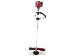 Honda GX 35 I - Decespugliatore A Benzina 4 Tempi - Asta Blue Bird -Cura Del Giardino honda gx 35 i decespugliatore a benzina 4 tempi asta blue bird il decespugliatore honda gx 35 33957 6 1649688184 IMG 62543e781b6f7