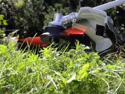 Ikra IBKH 52 - Decespugliatore A Scoppio Multifunzione 36 Ikra IBKH 52 - Decespugliatore A Scoppio Multifunzione -Cura Del Giardino ikra ibkh 52 decespugliatore a scoppio multifunzione il decespugliatore multifunzione ikra ibkh 52 18739 21 1574262211 717Z7TH8L3L. AC SL1000