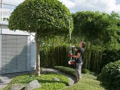 Ikra IBKH 52 - Decespugliatore A Scoppio Multifunzione 34 Ikra IBKH 52 - Decespugliatore A Scoppio Multifunzione -Cura Del Giardino ikra ibkh 52 decespugliatore a scoppio multifunzione il decespugliatore multifunzione ikra ibkh 52 18739 21 1574262211 71I AQ4CBzL. AC SL1000