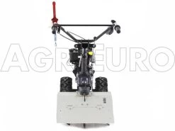Motocoltivatore Eurosystems TM 70 RB EVO Motore Briggs&Stratton 850 E I/C -Cura Del Giardino motocoltivatore eurosystems tm 70 rb evo motore briggs stratton 850 e i c motocoltivatore eurosystems tm 70 rb 1136 6 1464276225 0409 TM70 motocoltivatore 00011