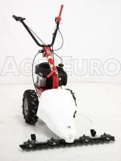 Motofalciatrice Bilama Eurosystems M210 - Motore B&S 450E -Cura Del Giardino motofalciatrice bilama eurosystems m210 motore b s 450e presentazione motofalciatrice bilama eurosystems m210 4004 0 1393930884 IMG 1187