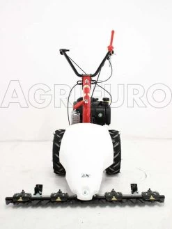 Motofalciatrice Bilama Eurosystems M210 - Motore B&S 450E -Cura Del Giardino motofalciatrice bilama eurosystems m210 motore b s 450e presentazione motofalciatrice bilama eurosystems m210 4004 0 1393930885 IMG 1189