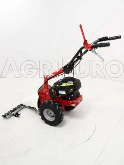 Motofalciatrice Bilama Eurosystems M210 - Motore B&S 450E -Cura Del Giardino motofalciatrice bilama eurosystems m210 motore b s 450e presentazione motofalciatrice bilama eurosystems m210 4004 0 1393930889 IMG 1194