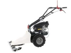 Motofalciatrice Multifunzione Bilama Eurosystems P55 - Motore Honda GCVX 170 -Cura Del Giardino motofalciatrice multifunzione bilama eurosystems p55 motore honda gcvx 170 motofalciatrice eurosystems p55 24140 0 1593425850 IMG 5ef9bfba67fed