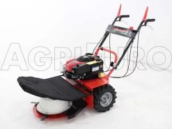 Motofalciatrici Con Lame Rotanti Alhambra - Motore B&S 850 -Cura Del Giardino motofalciatrici con lame rotanti alhambra motore b s 850 motofalciatrice alhambra con motore briggs stratton 1238 0 1390563252 IMG 6839